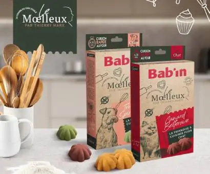 Croquettes pour chien bab'in naturelles, animalerie Amiens