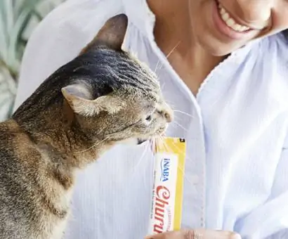 Pâtées naturelles pour chien terra canis