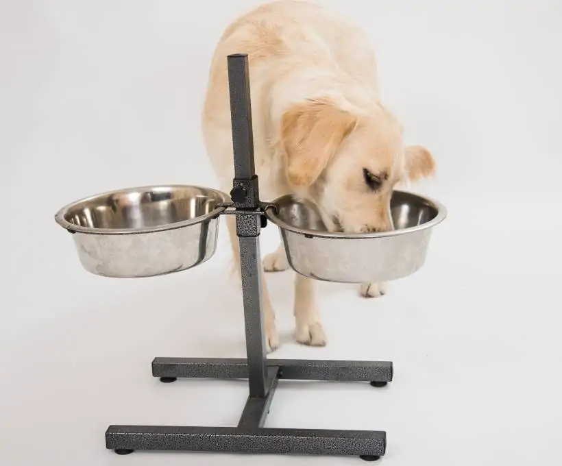 Croquettes Bab'in pour chiens