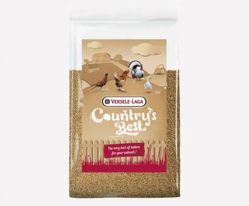 Croquettes Bab'in pour chiens