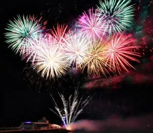 Blog Animodream : Conseils durant les feux d'artifice pour le chien et le chat