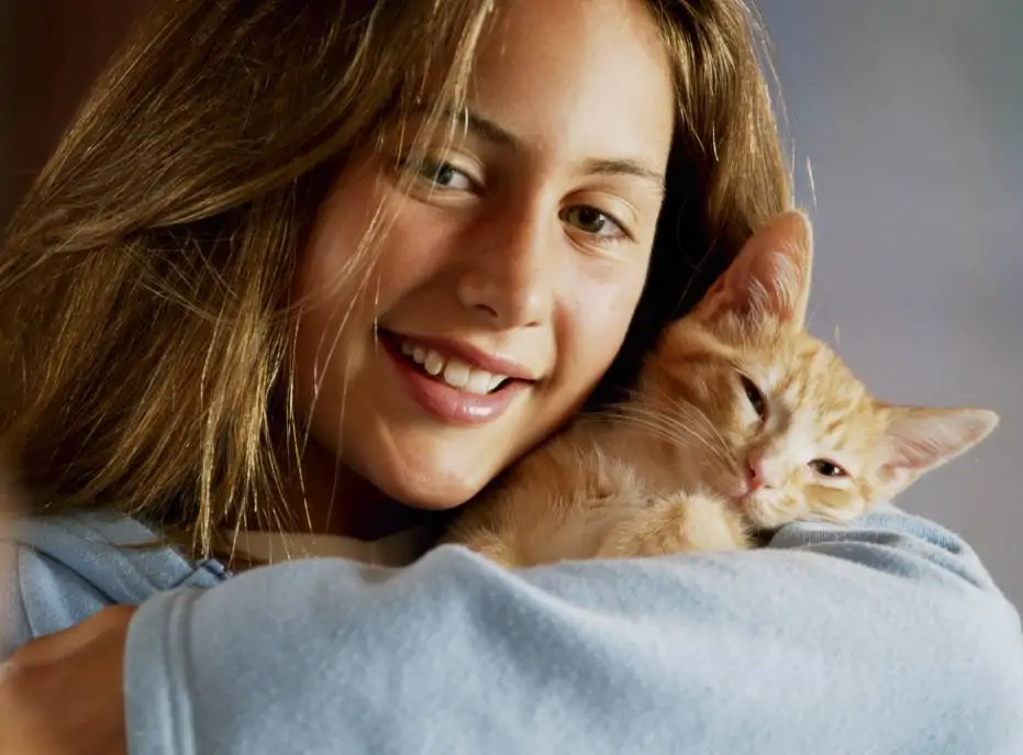Chats qui se font des câlins
