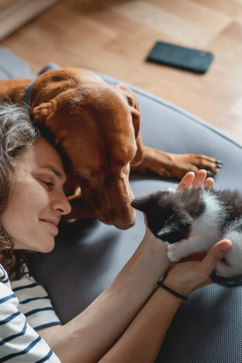 Comment rendre mon chien heureux